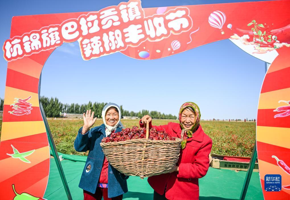 大澳电玩城官网